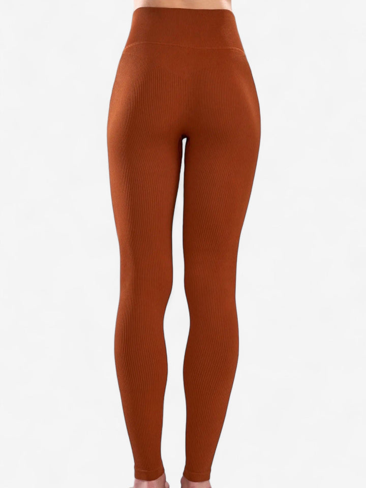 Seamless ribbed Legging Ares Lane